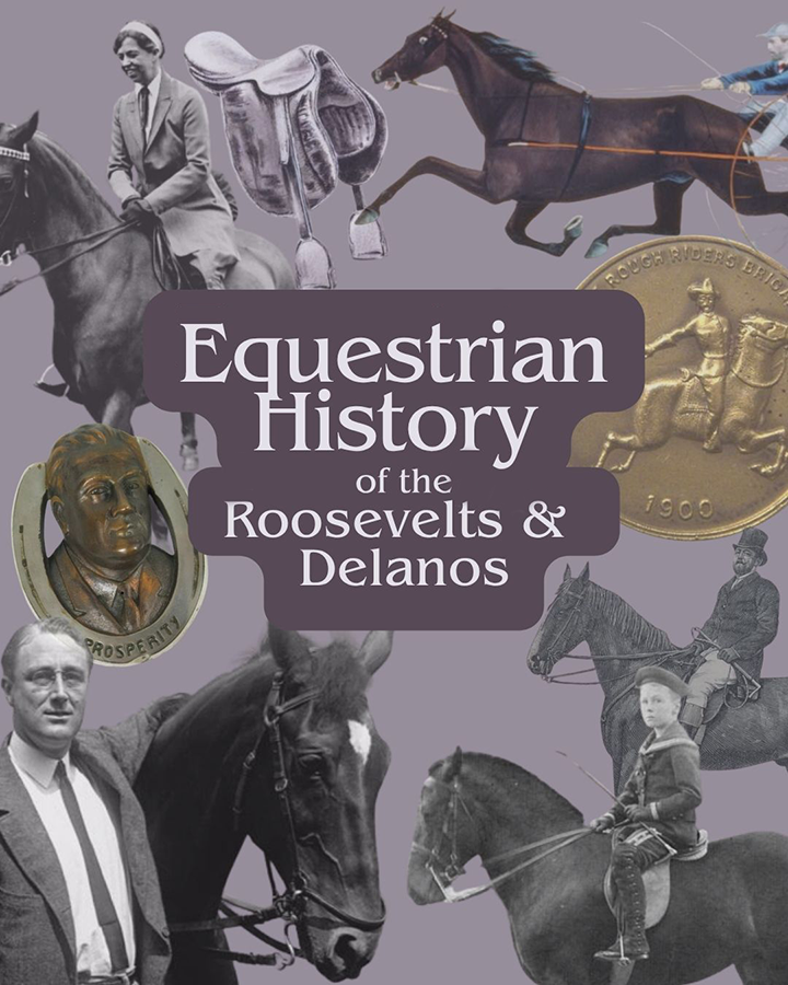 Equestrian History 